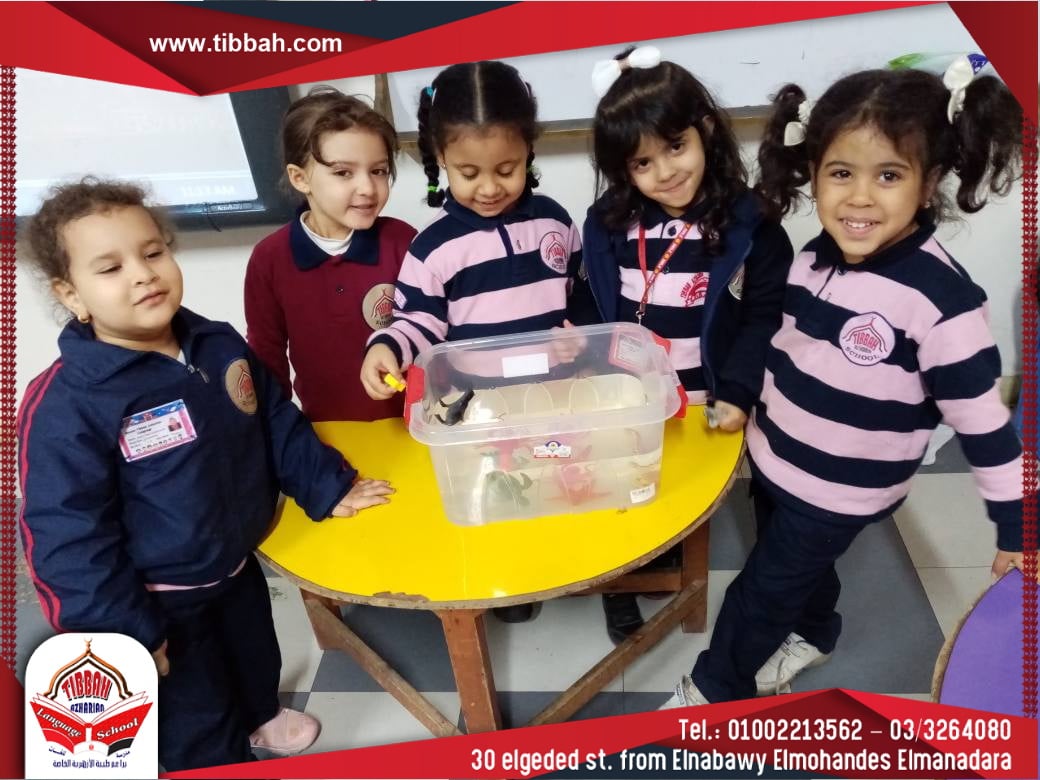 Science Sea animals kg1strawberry